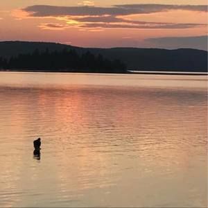 Meet your Posher, Vé